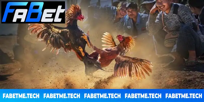 Bí quyết cá cược đỉnh cao từ các kê thủ