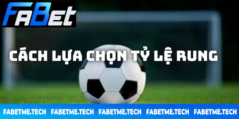 Chia sẻ đôi nét về cách đặt kèo rung đối với từng tỷ lệ